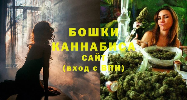 индика Зерноград