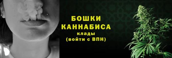 индика Зерноград