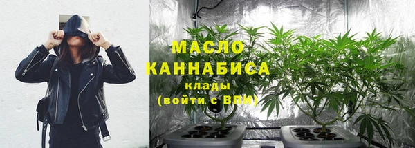 индика Зерноград